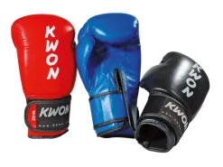 Boxhandschuhe Ergo Champ