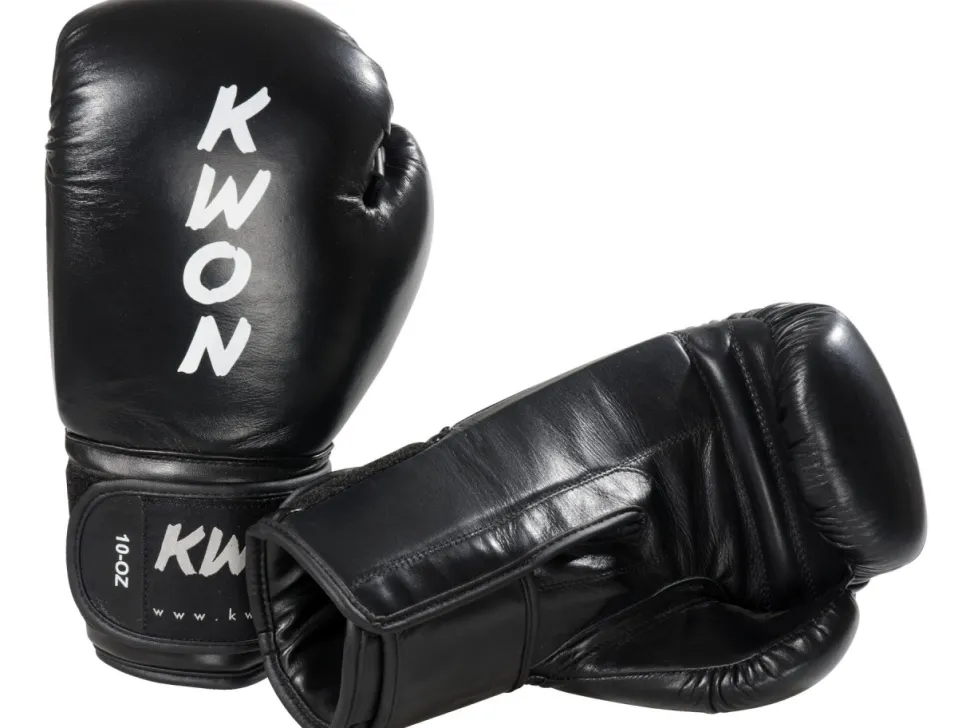 Boxhandschuhe Ergo Champ