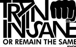 Brustdruck train insane