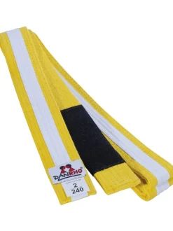 DANRHO Brazilian Jiu Jitsu Kindergürtel mehrfarbig