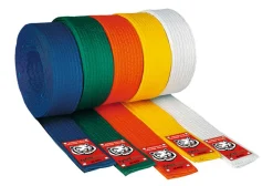 DANRHO Budo Gürtel Junior
