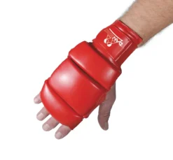 DANRHO Ju Jutsu Handschuhe