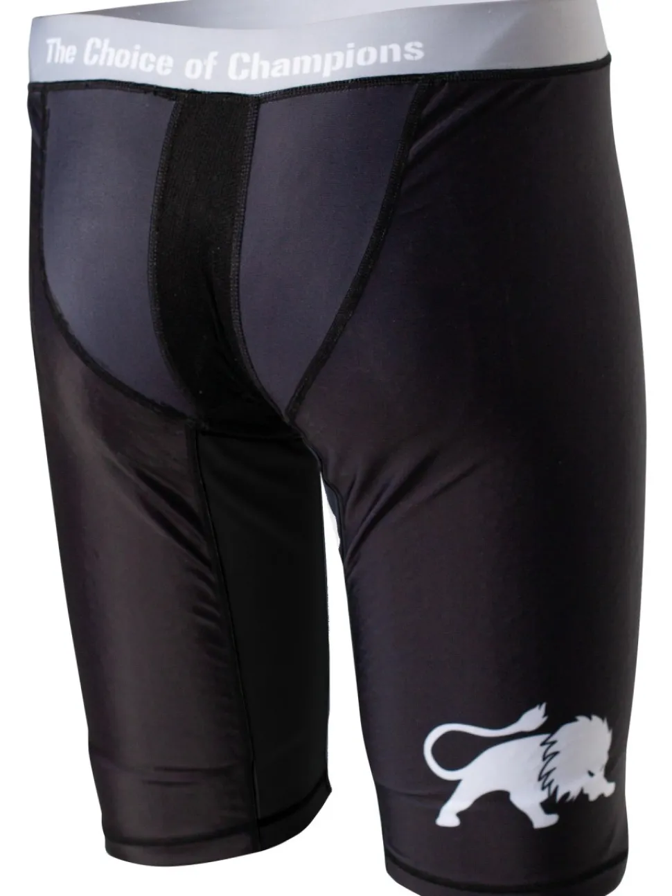 FIGHTNATURE Kompressionsshorts lang