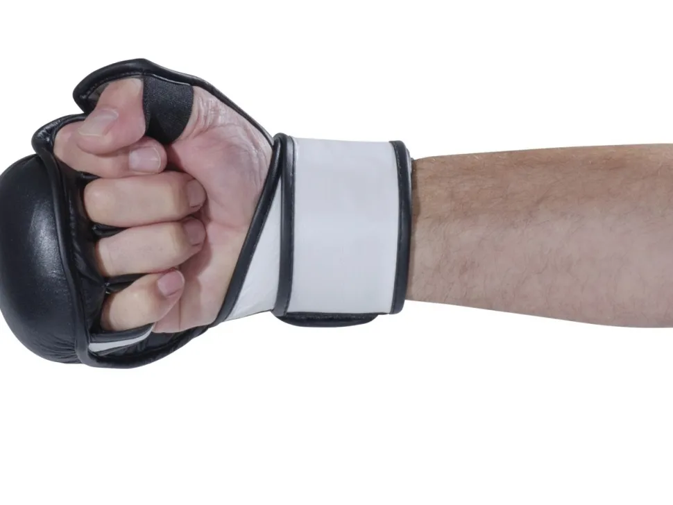 FIGHTNATURE MMA Handschuhe Sparring Leder