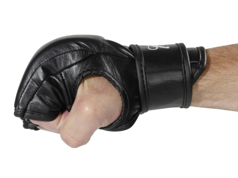 FIGHTNATURE MMA Handschuh Compete