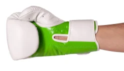 Kickboxhandschuhe Fight Champ