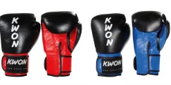 Kickboxhandschuhe KO Champ