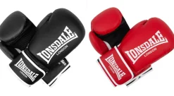 LONSDALE Boxhandschuhe ASHDON