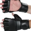 MMA Handschuhe