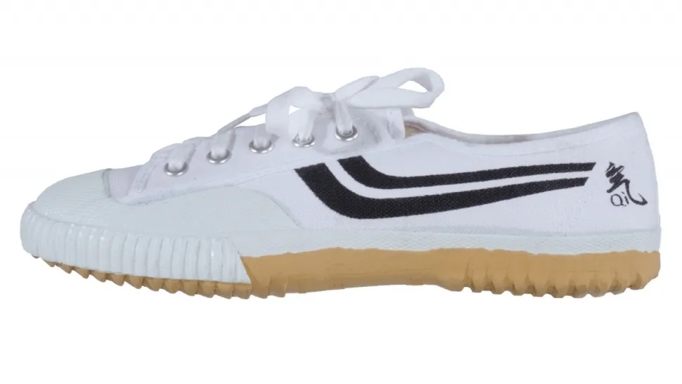 Segeltuchschuhe in 2 Farben