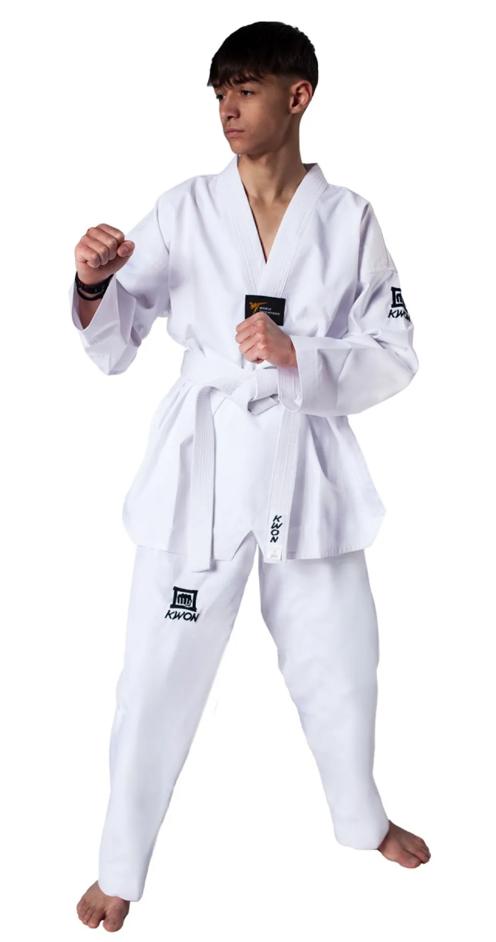 Taekwondo Anzug Premiere Plus