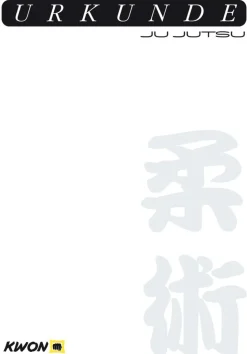 Urkunde Ju Jutsu